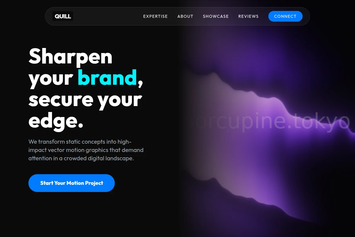 Vector Motion Graphics